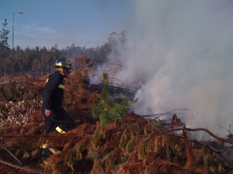 INCENDIOS FORESTALES 2014 20